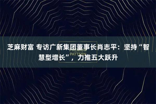 芝麻财富 专访广新集团董事长肖志平：坚持“智慧型增长”，力推五大跃升