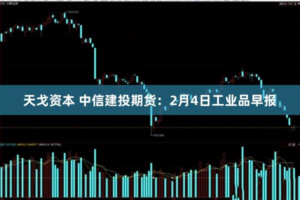 天戈资本 中信建投期货：2月4日工业品早报